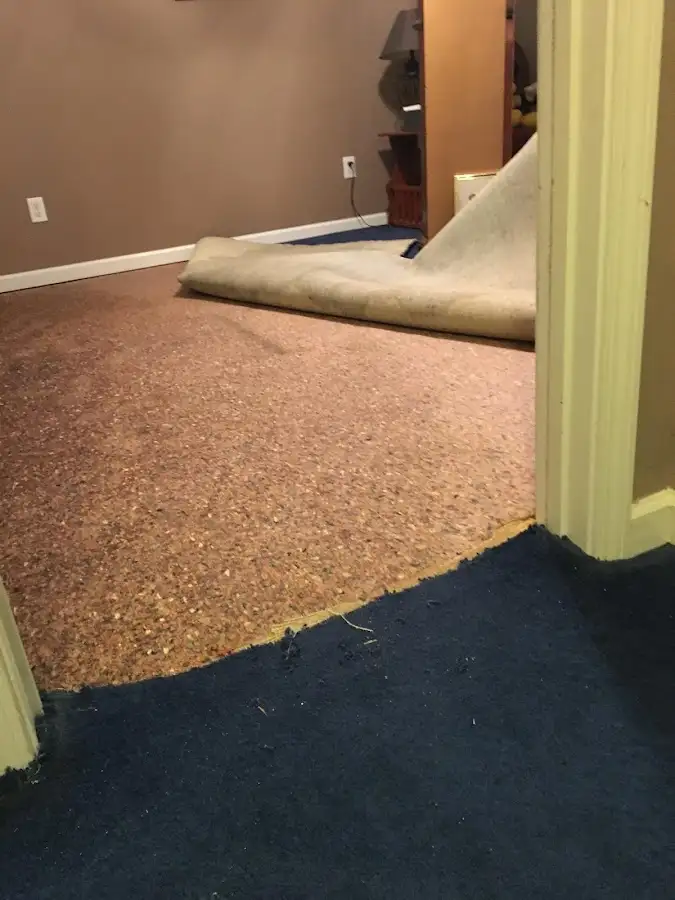 Carpet pad removal revealing water damage during Drying & Dehumidification in East Alton