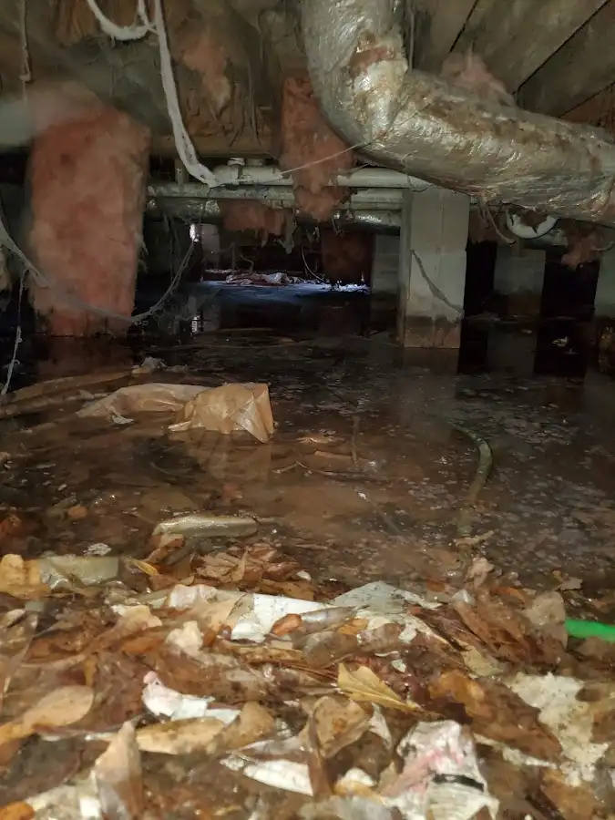 Crawl space flood assessment for Leak Detection & Repair in East Alton