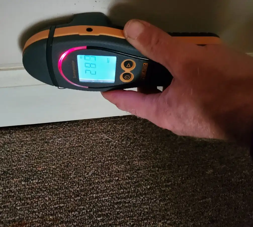 Moisture detection at baseboard during Burst Pipe Cleanup in East Alton